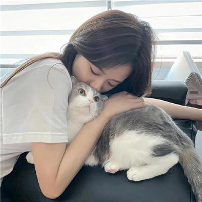 自然世界：动物之家 在线观看